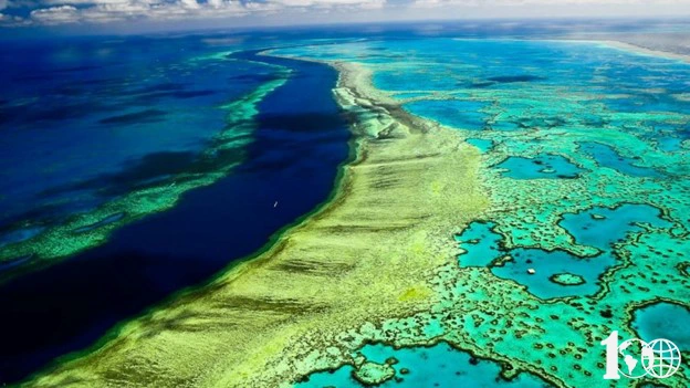 دیوار مرجانی در استرالیا 